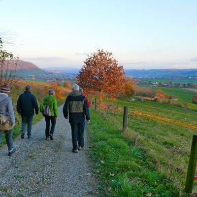 051 kurz vor dem Ziel